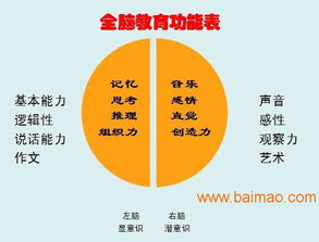 山東臨沂與臨沭全腦開發(fā)服務(wù) 可靠提供商、廠家與價(jià)格咨詢指南